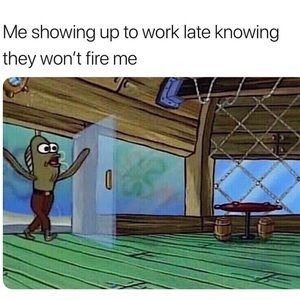 Meet your Posher, Jaquell